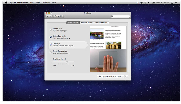 Lion trackpad preferences