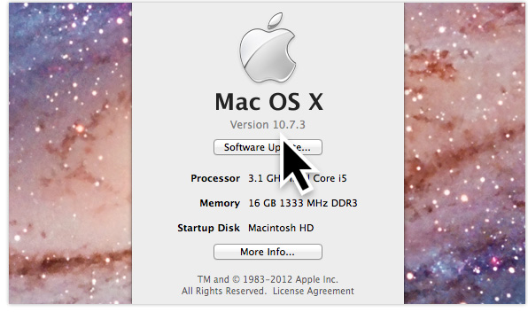 high-DPI cursor in OS X 10.7.3